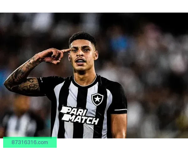 博塔弗戈主场迎战阿瓦伊南美联赛焦点对决前瞻实力走势与胜负悬念解析